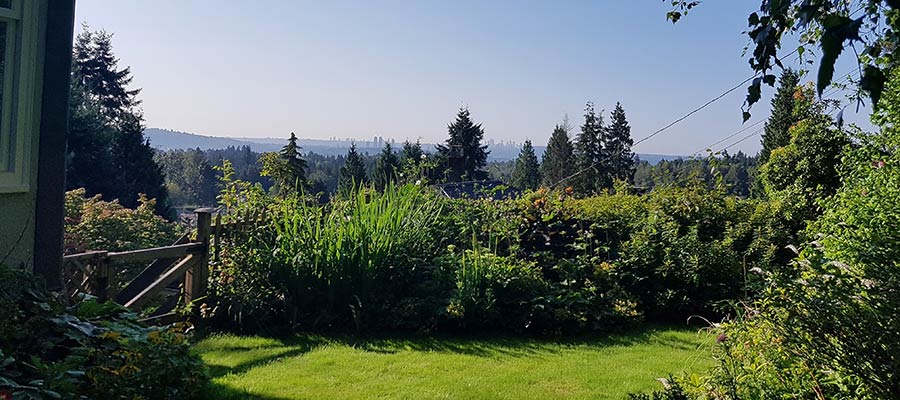 A lush green garden overlooks a large tree-covered area.